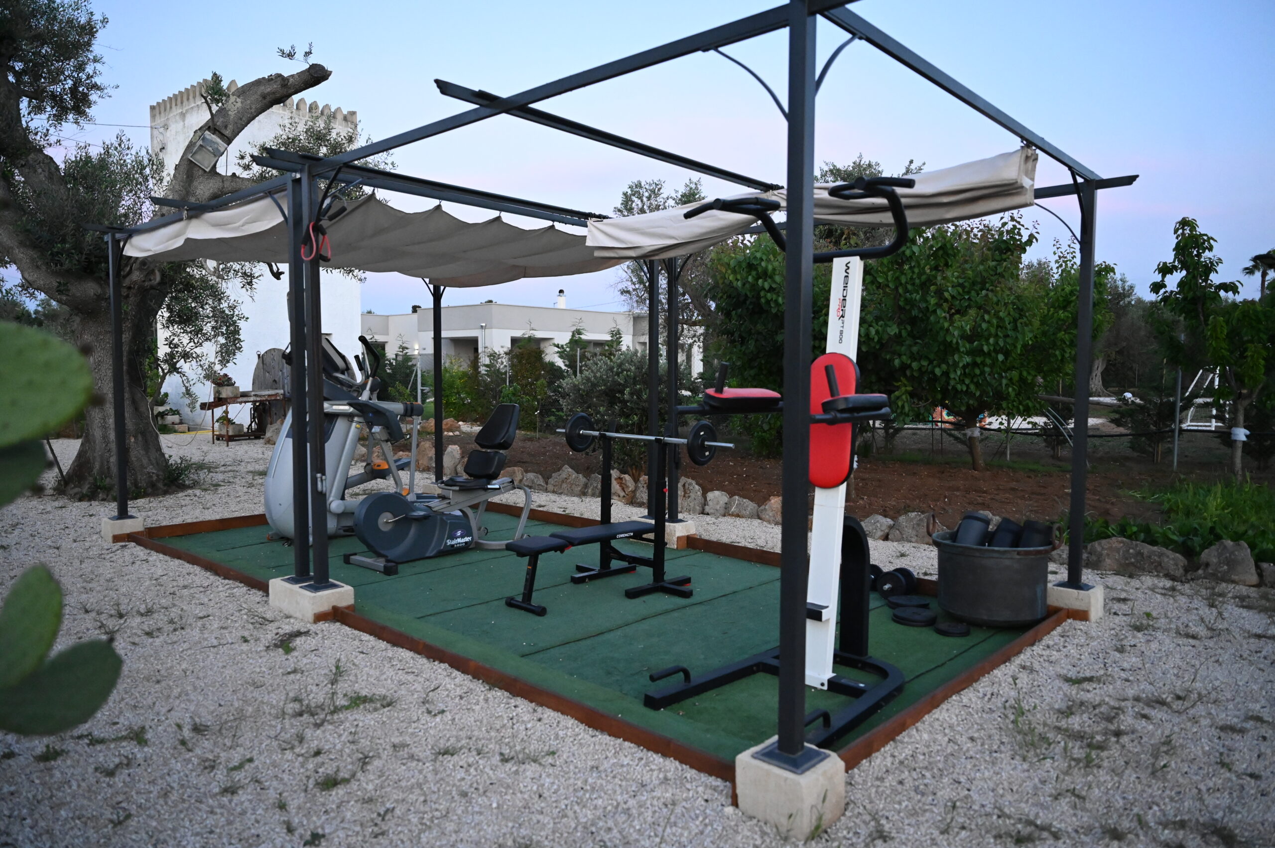 licanalireali_palestra